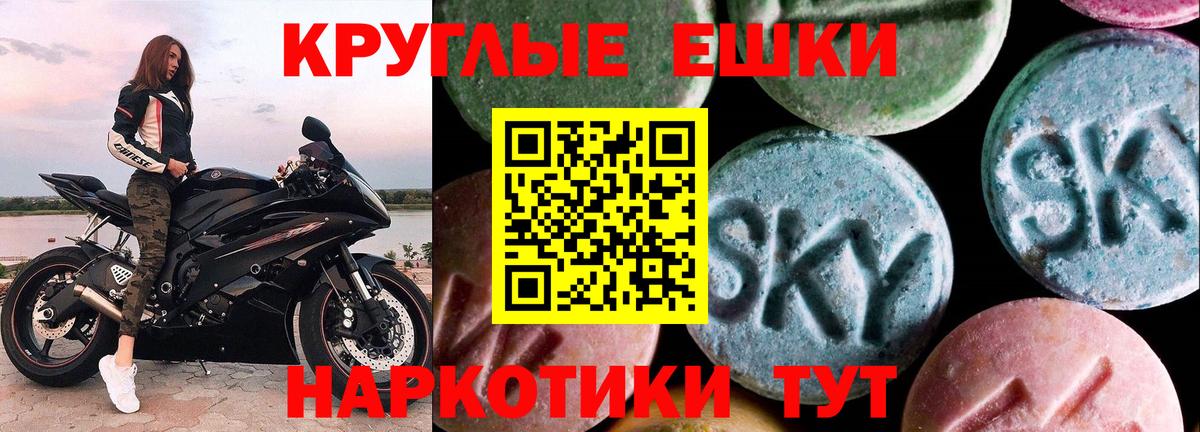 ЭКСТАЗИ Philipp Plein Елец