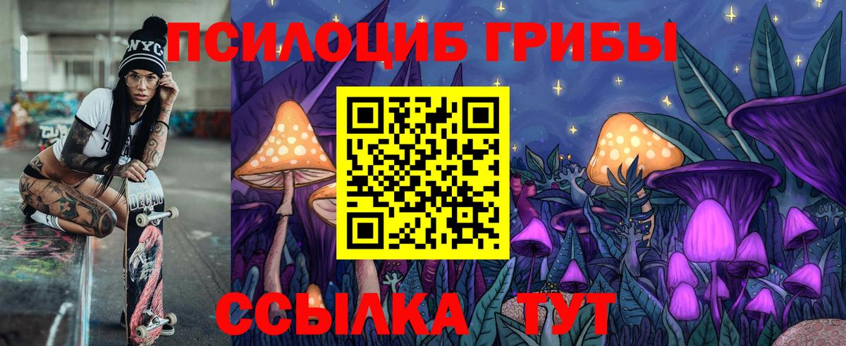 Елец  наркота  Галлюциногенные грибы Psilocybe  Вход с VPN  Псилоцибиновые грибы Cubensis 